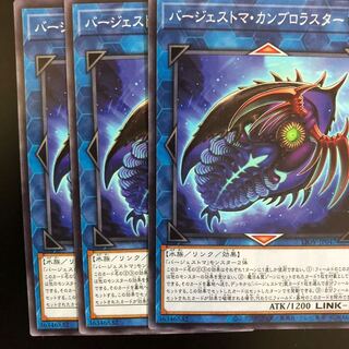 バージェストマ・カンブロラスター　３枚