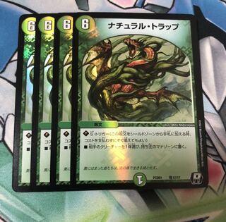 ナチュラルトラップ 4枚