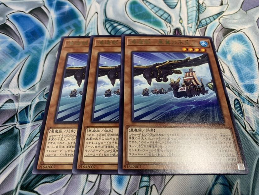 海造賊　黒翼の水先人