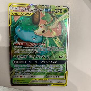 フシギバナ&ツタージャ 1枚
