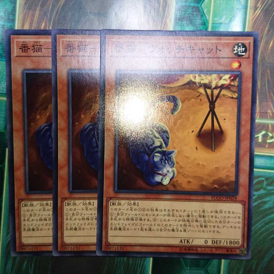 番猫-ウォッチキャット ノーマル