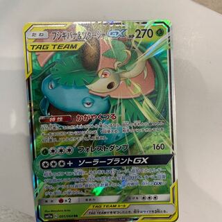 フシギバナ&ツタージャ 1枚
