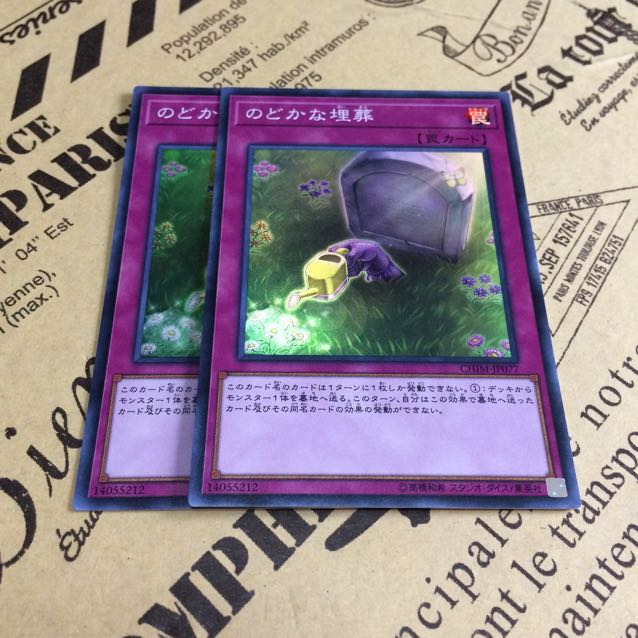 のどかな埋葬【SR】