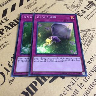 のどかな埋葬【SR】