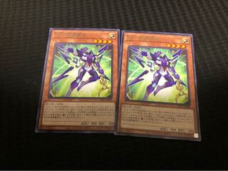 ZS－昇華賢者　2枚