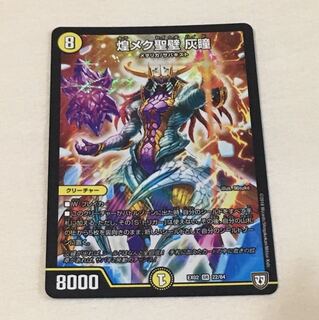 煌メク聖壁 灰瞳