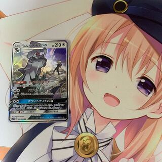 シルヴァディGX