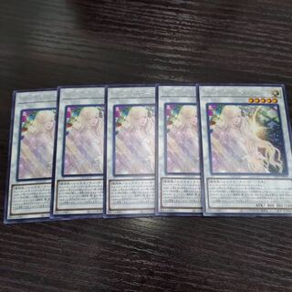 ガーデンローズフローラ