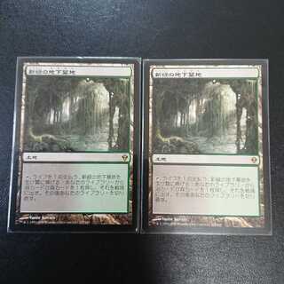 【専用出品】ニオさま専用 新緑の地下墓地 日本語版４枚セット