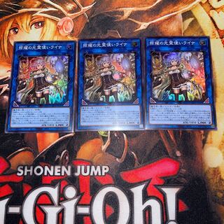 照耀の光霊使いライナ