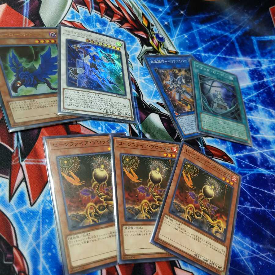 ガーデン・ローズ・メイデン、ブラット・ローズ・ドラゴンセット販売