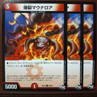 old2500　セット割引　爆裂マウナロア