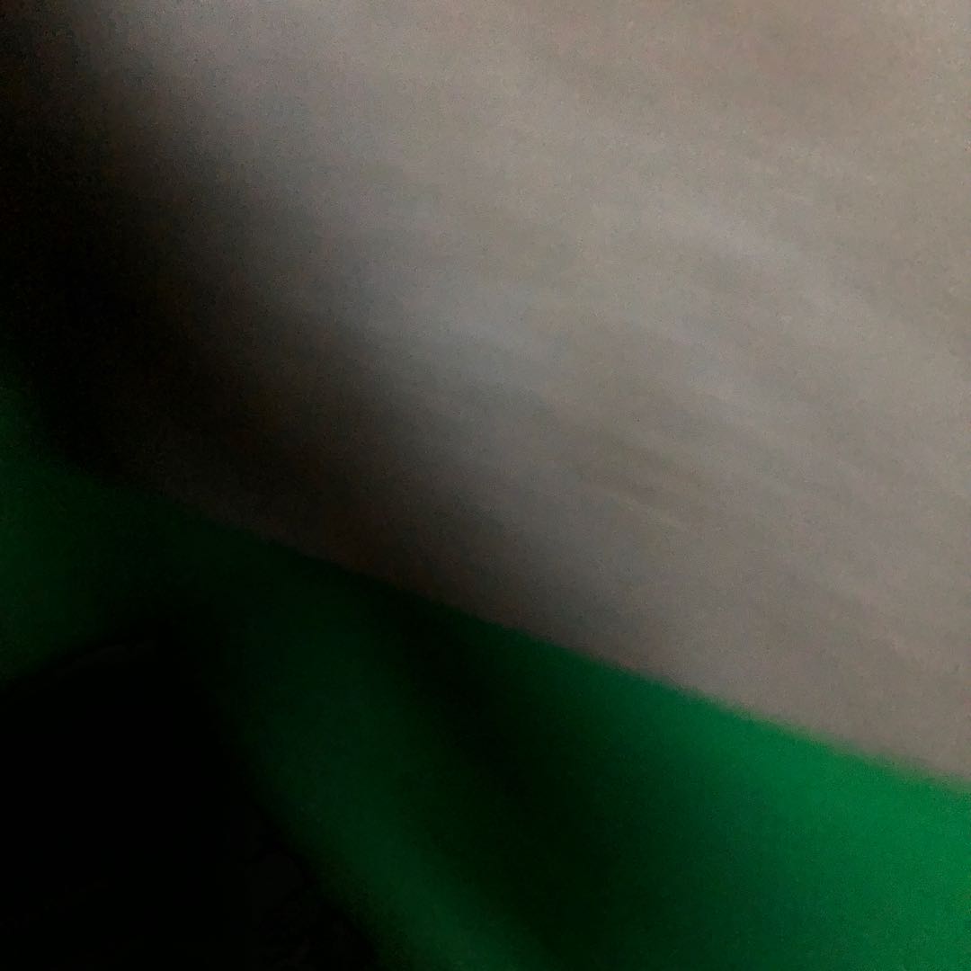 とぐおさん　専用2 1枚