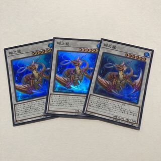 ひかりどの様専用　瑚之龍 スーパーレア