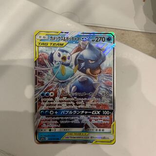 カメックス&ポッチャマ