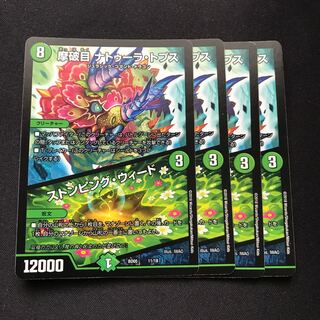 摩破目 ナトゥーラ・トプス｜ストンピング・ウィード