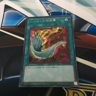 ハーピィの羽根帚 ウルトラレア　レアコレ