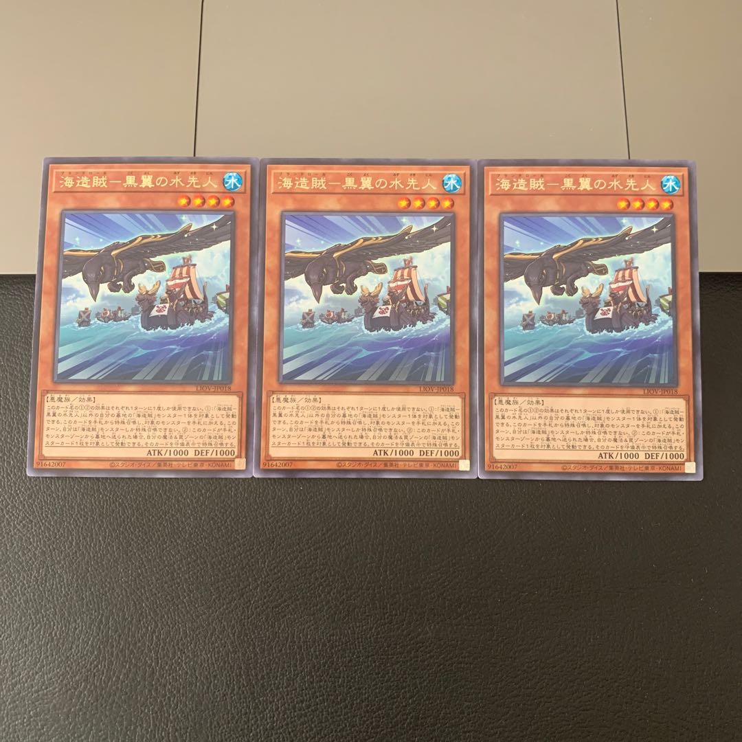 海造賊　黒翼の水先人