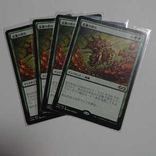 滋養の群れ レア