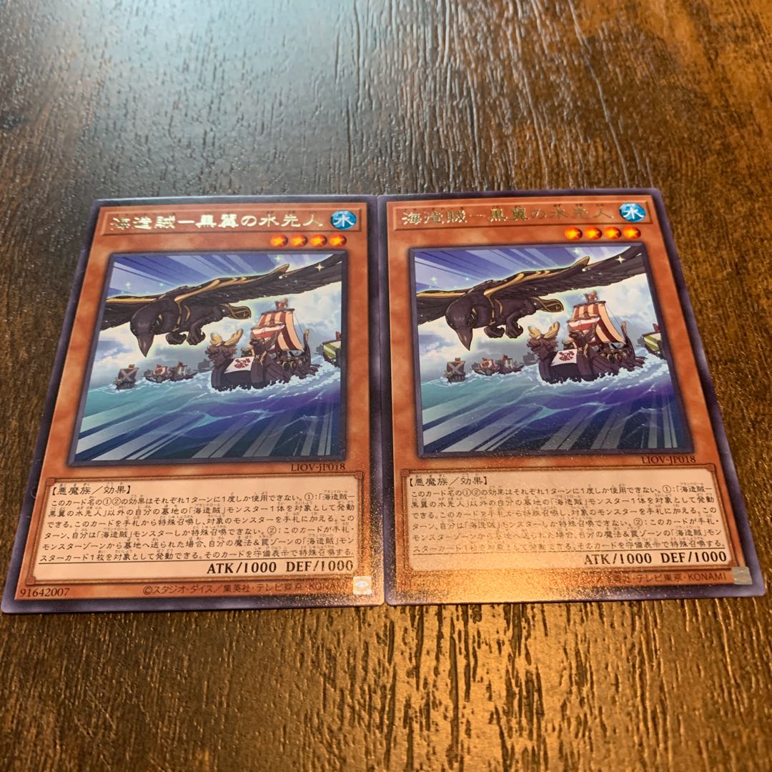 海造賊-黒翼の水先人