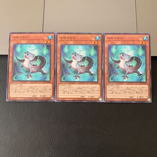 ヤモイモリ ノーマル