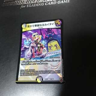 密かで華麗なるカイタイ