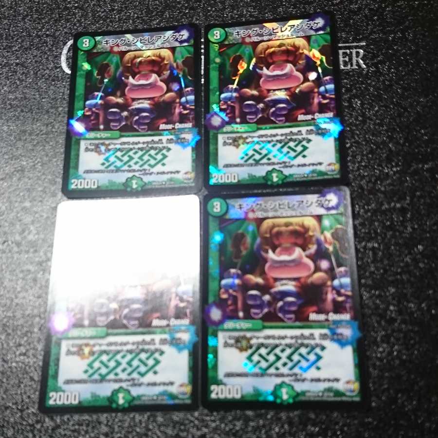 キング・シビレアシダケ