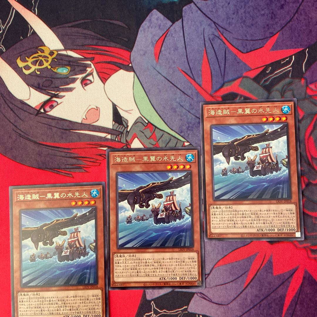 海造賊-黒翼の水先人