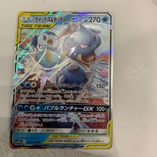 カメックス&ポッチャマ