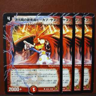 old2671 Set Discount Peekapoo Janus, Research Scientist at Dimension Institute