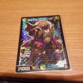 我怒の鎖 パンサーベア