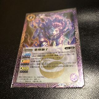 Leucothoe grayana (species of ericaceous plant)