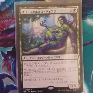 イリーシア木立のドライアド レア