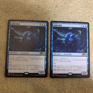 嵐翼の精体 2枚セット