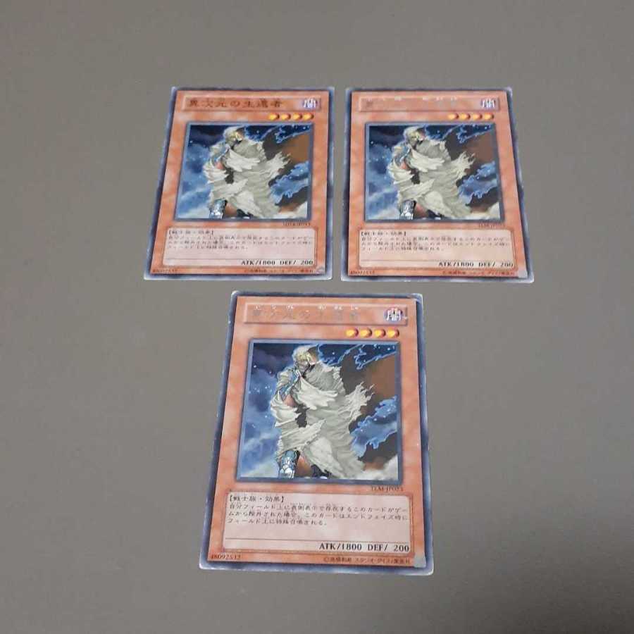 異次元の生還者(R)