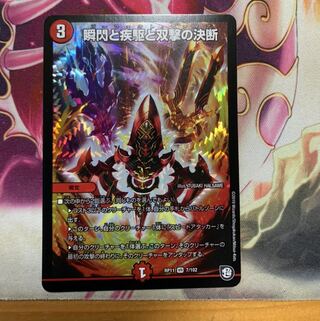 瞬閃と疾駆と双撃の決断