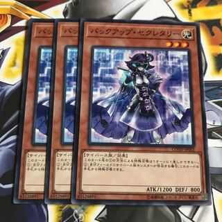 バックアップ・セクレタリー ノーマル 3枚