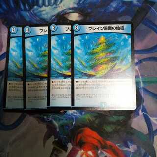 ブレイン珊瑚の仙樹 R