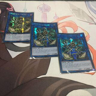 韓国　サクリファイスアニマ　シークレット