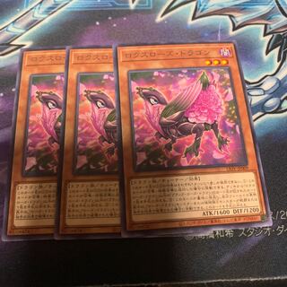 ロクスローズ・ドラゴン