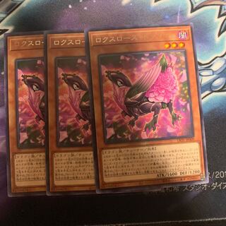 ロクスローズ・ドラゴン