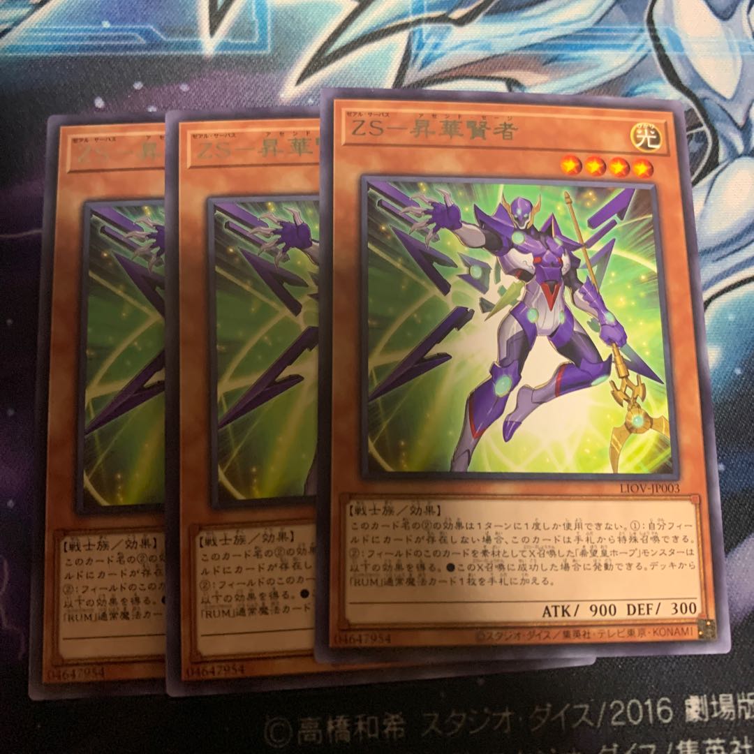 ZS-昇華賢者 レア 専用