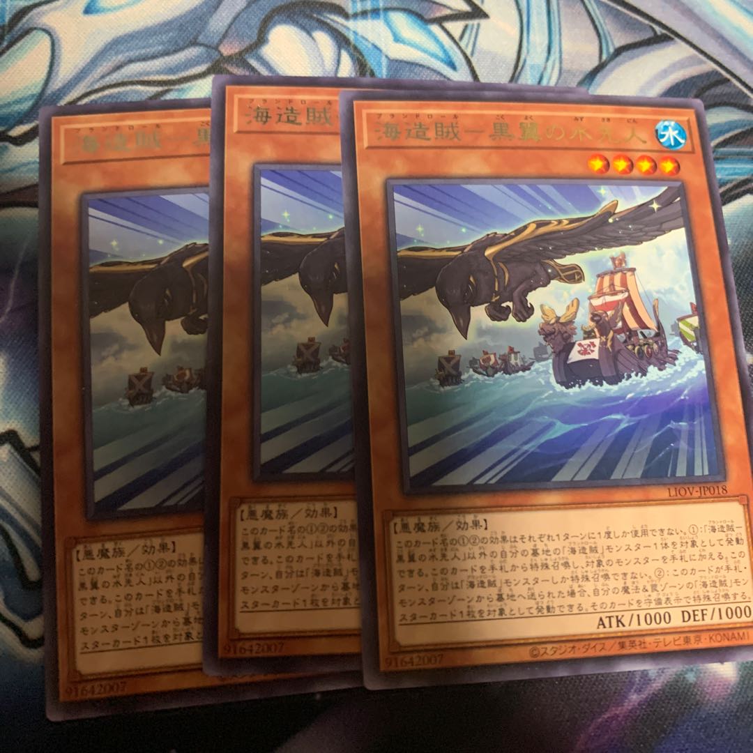 海造賊-黒翼の水先人