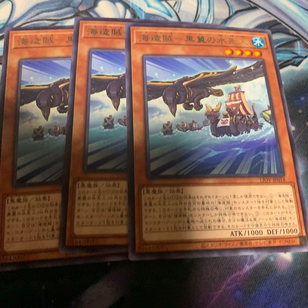 海造賊-黒翼の水先人　