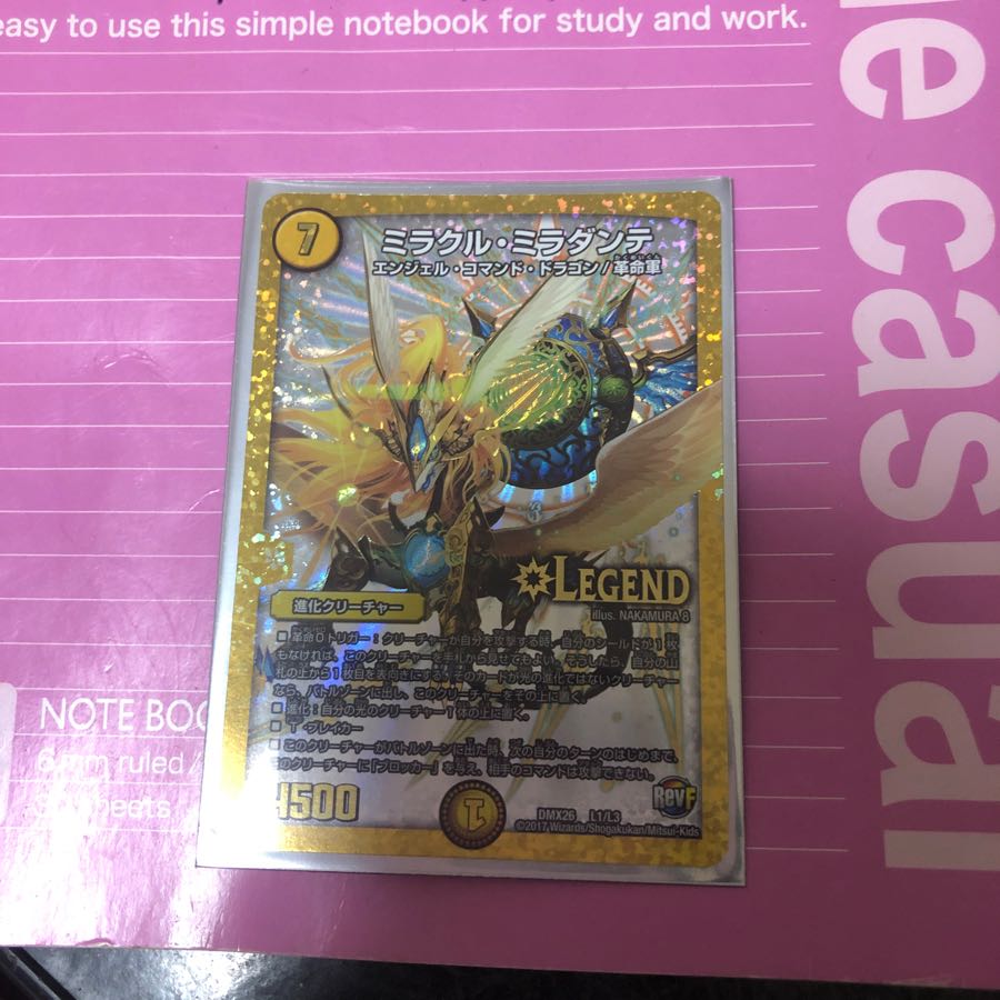 ハタさん専用 1枚