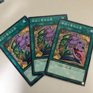 強欲で貪欲な壺 ノーマル