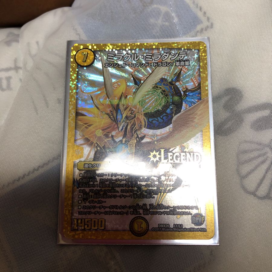 はな様専用 1枚