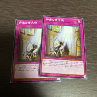 神属の堕天使 2枚
