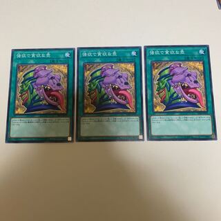 遊戯王 強欲で貪欲な壺 ノーマル 3枚セット