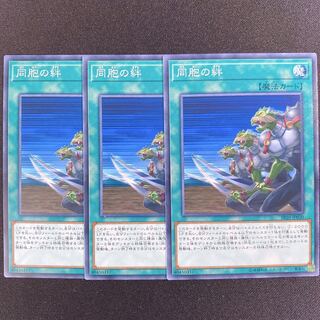 同胞の絆　ノーマル　3枚セット